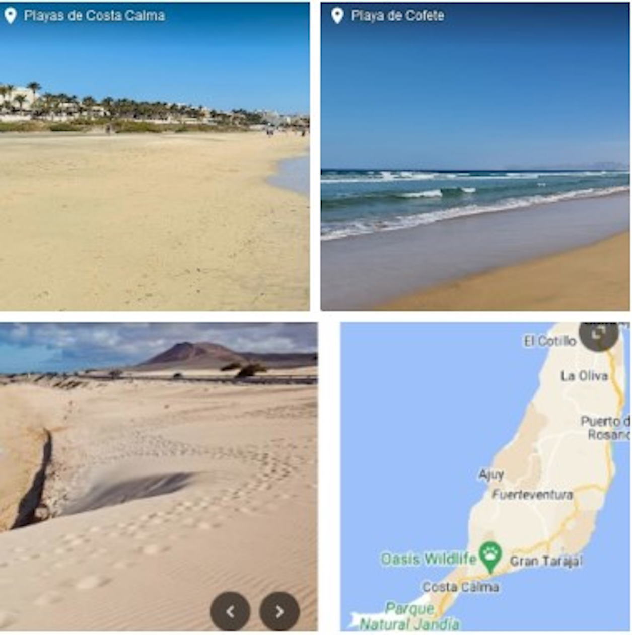 ver camaras en directo de la isla majorera